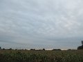 049 (2)